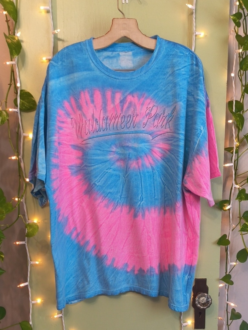 Women's Waldameer Park Tye Dye Pink Blue T-shirt 2X